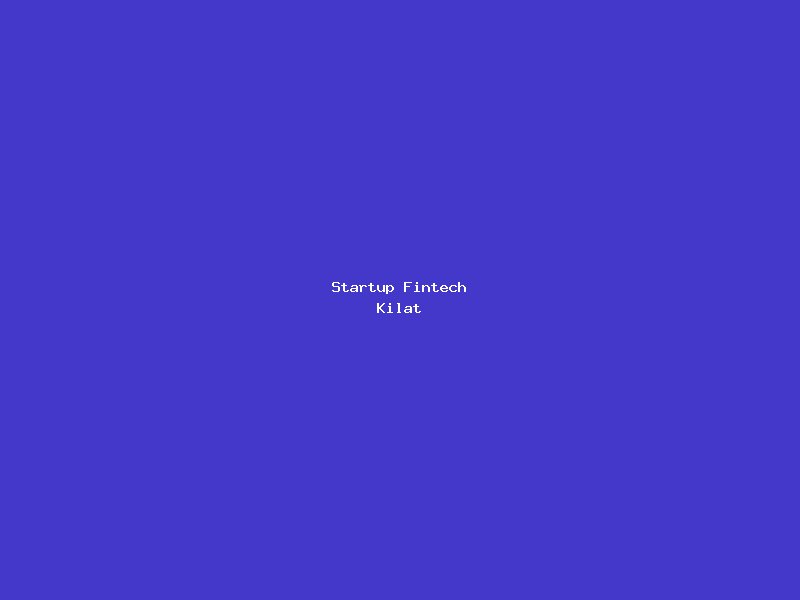 Startup Fintech Kilat